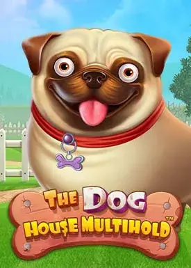 Popularny psi hit w nowej wariacji – więcej możliwości i świeże tempo, jeśli lubisz intensywny gameplay.